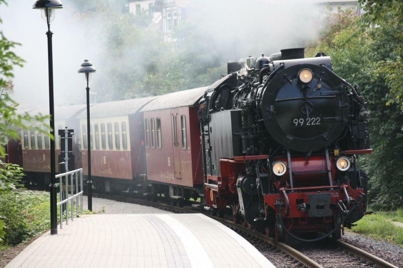 Haus Massalski Hotel Wernigerode Eksteriør billede